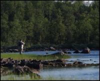 Bifogad bild: norge2010augusti290.jpg